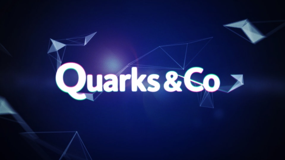 Facebook Feed Quarks&Co